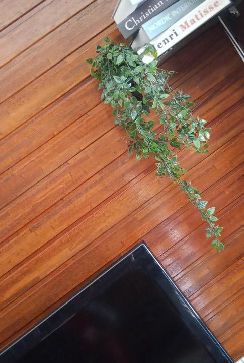 Photo of Others in Sungai Lembing