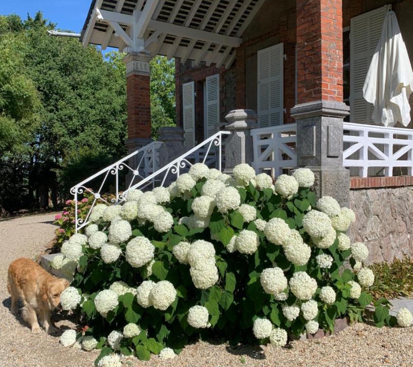 Photo of Others in Bouere