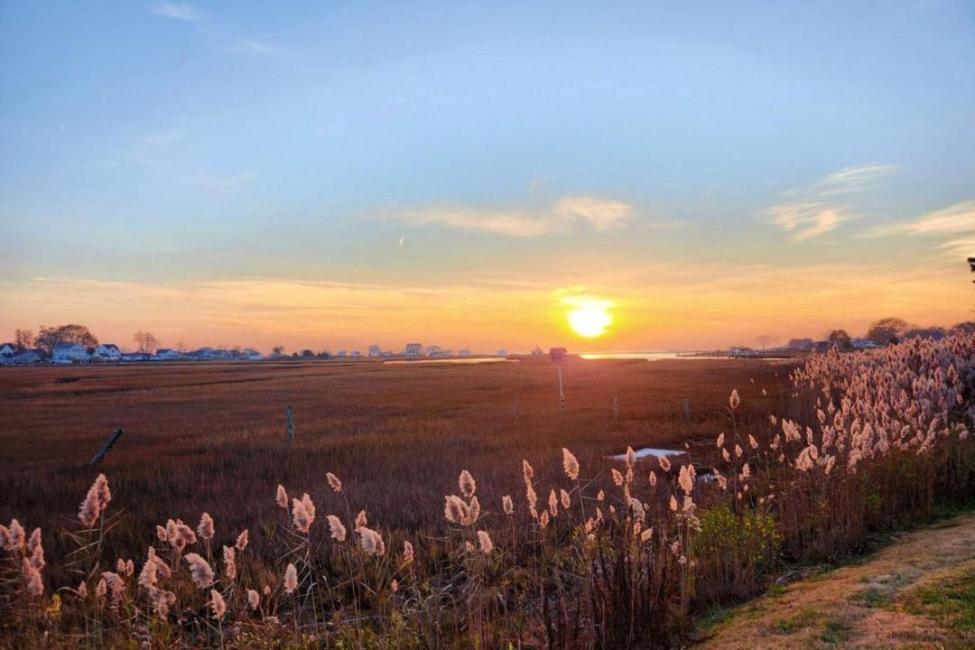 Photo of Others in Old Saybrook