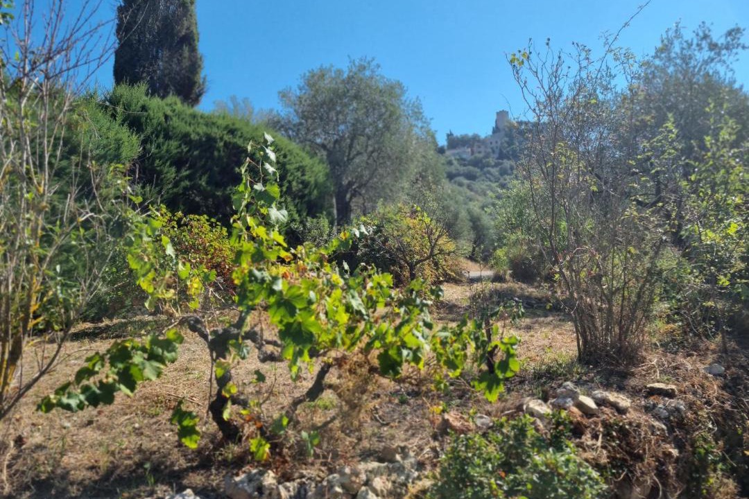 Photo of Others in Tourrette-Levens