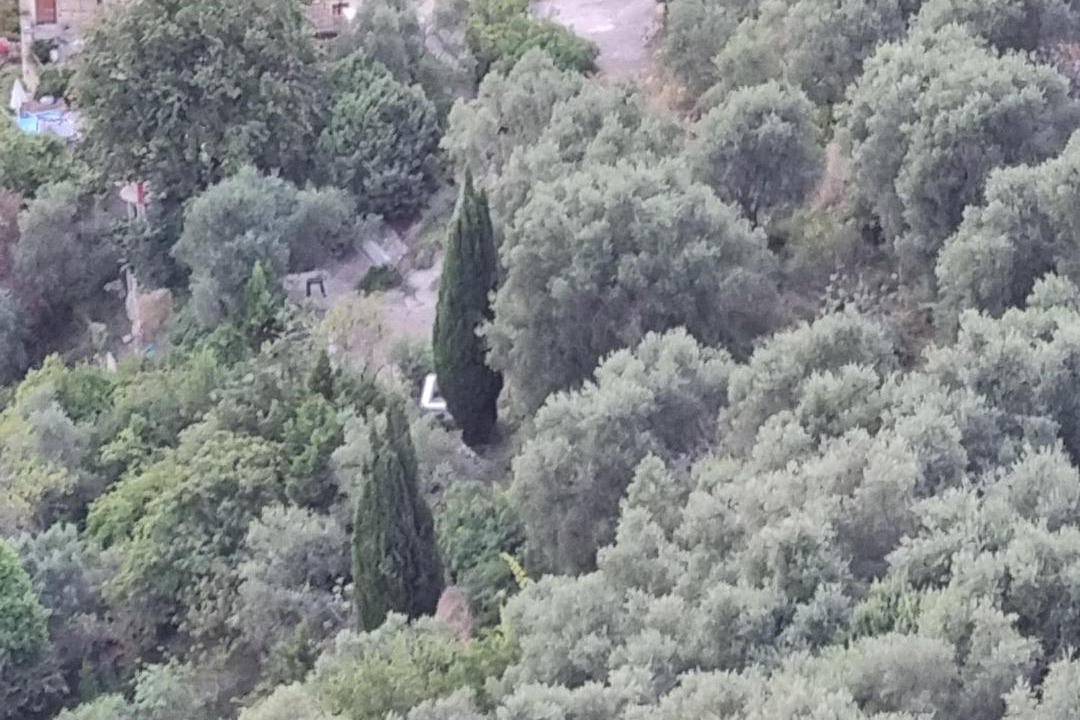 Photo of Others in Tourrette-Levens