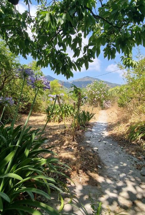 Photo of Outdoor in Tourrette-Levens