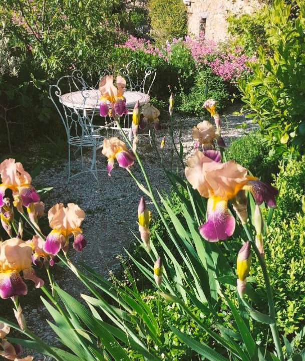 Photo of Others in Saint-Andre-de-Rosans