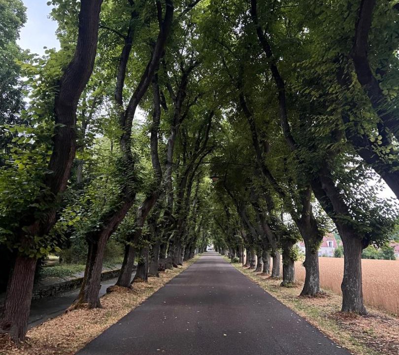 Photo of Others in Gargenville