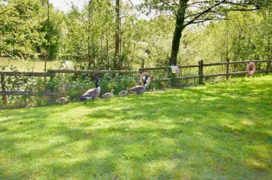 Photo of Others in Ryde