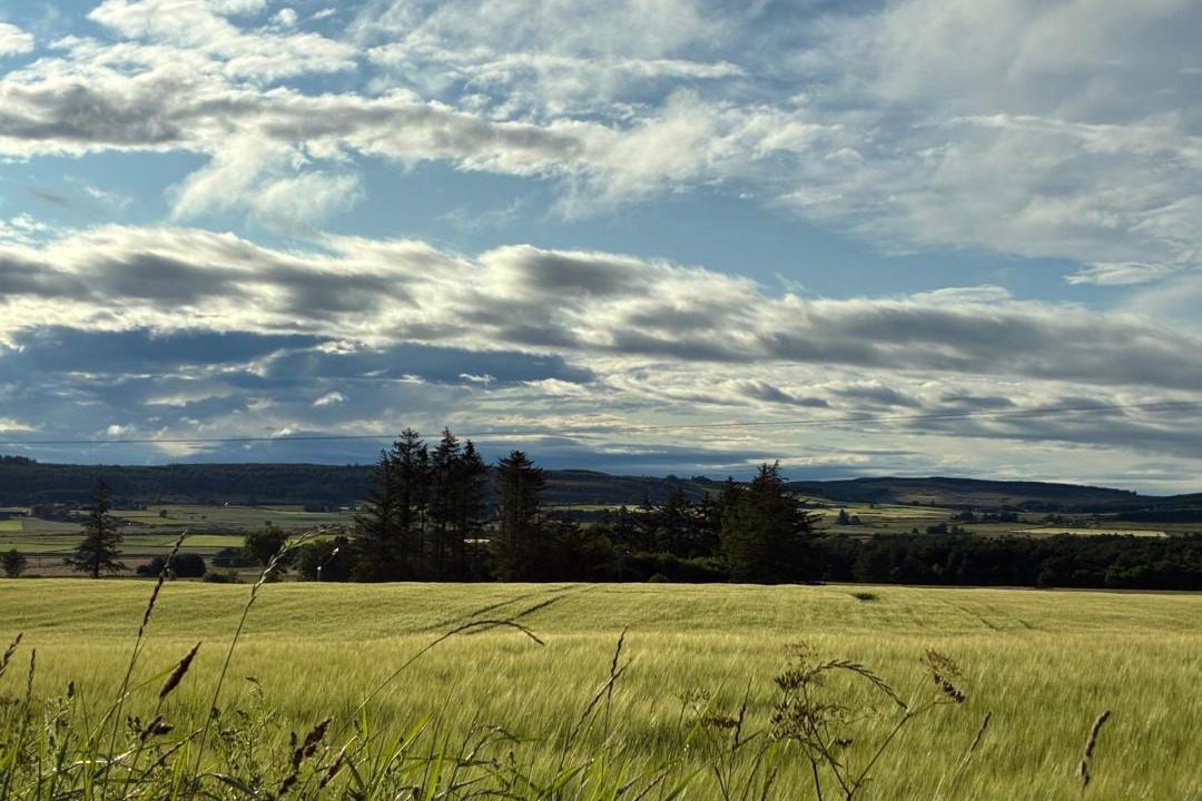 Photo of Others in Huntly