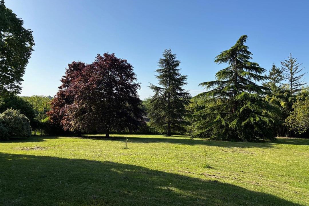 Photo of Others in Montresor