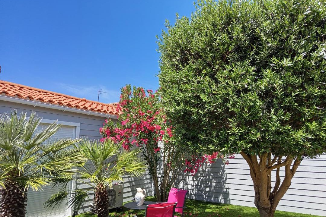 Photo of Others in Chateau-d'Olonne
