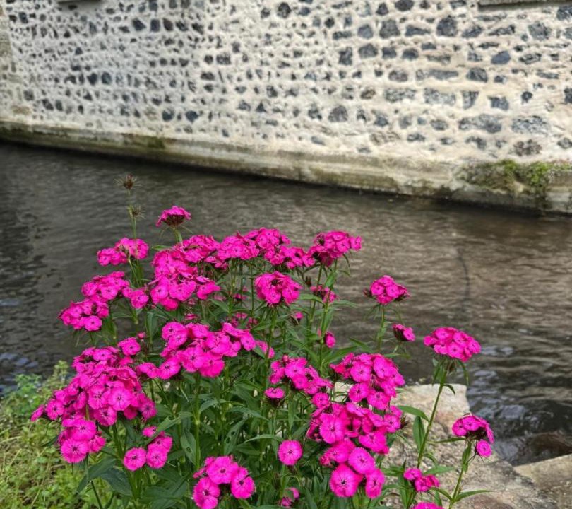 Photo of Others in Veyre-Monton