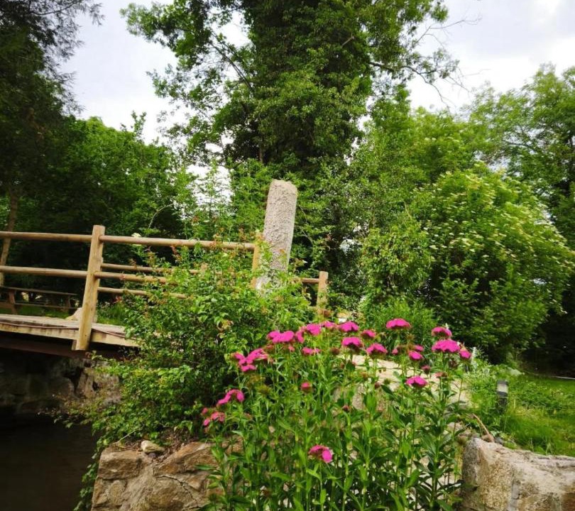 Photo of Others in Veyre-Monton