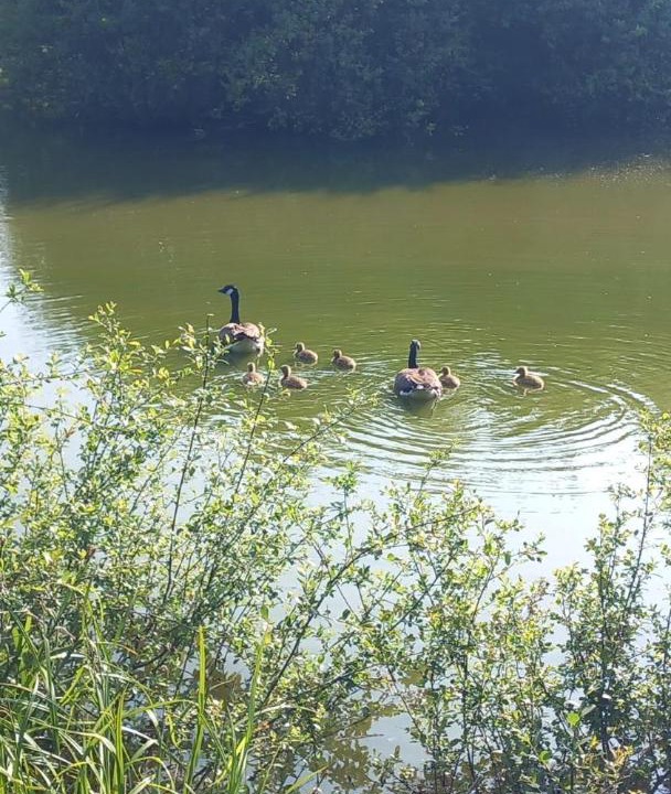 Photo of Others in Ryde