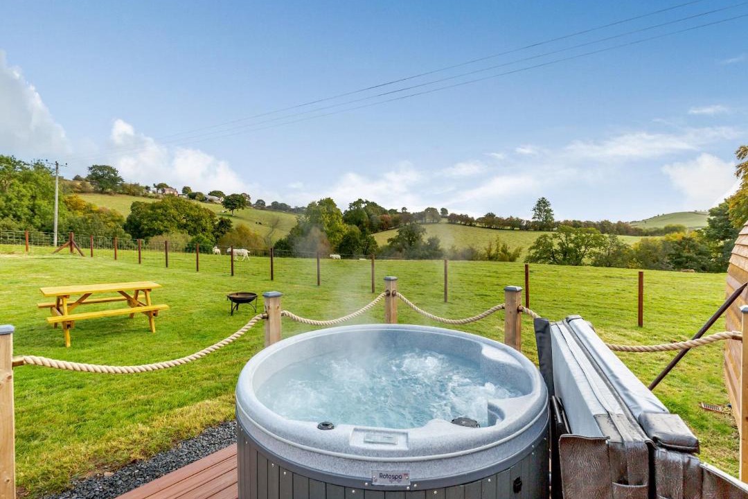 Photo of Others in Welshpool