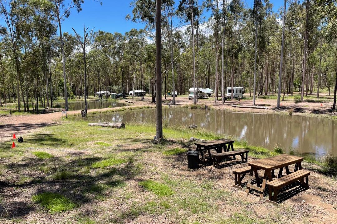 Photo of Others in South Isis