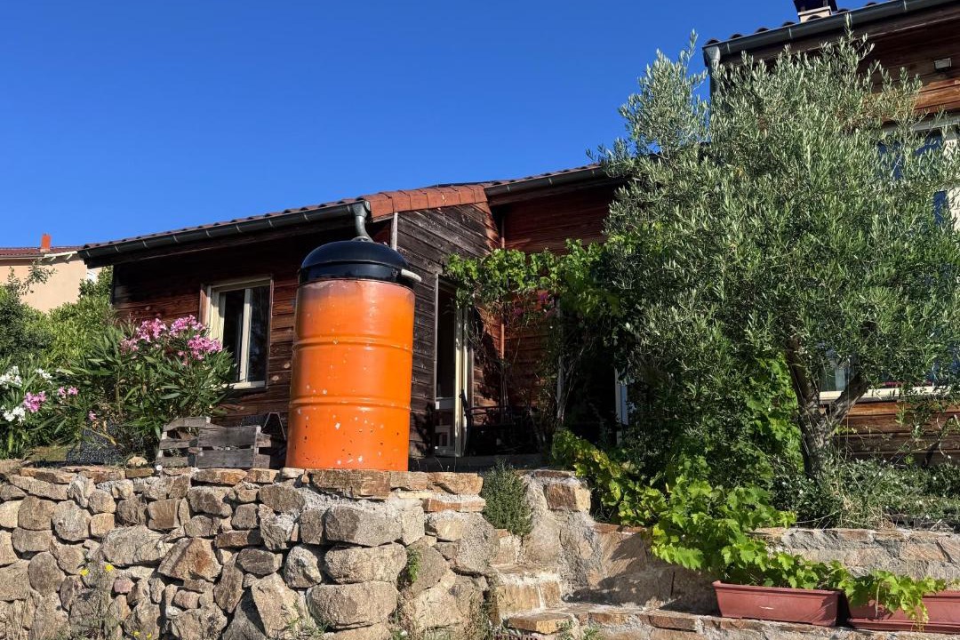 Photo of Others in Lupe