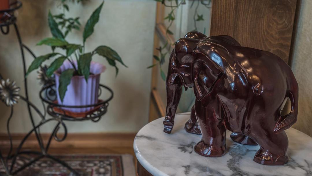 Photo of Others in Novo-Peredelkino