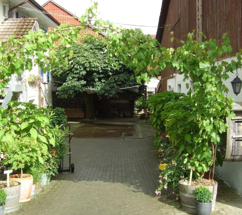 Photo of Others in Trasadingen