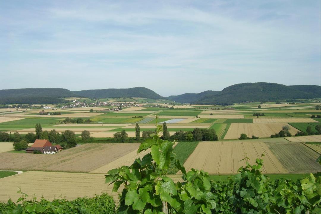 Photo of Others in Trasadingen