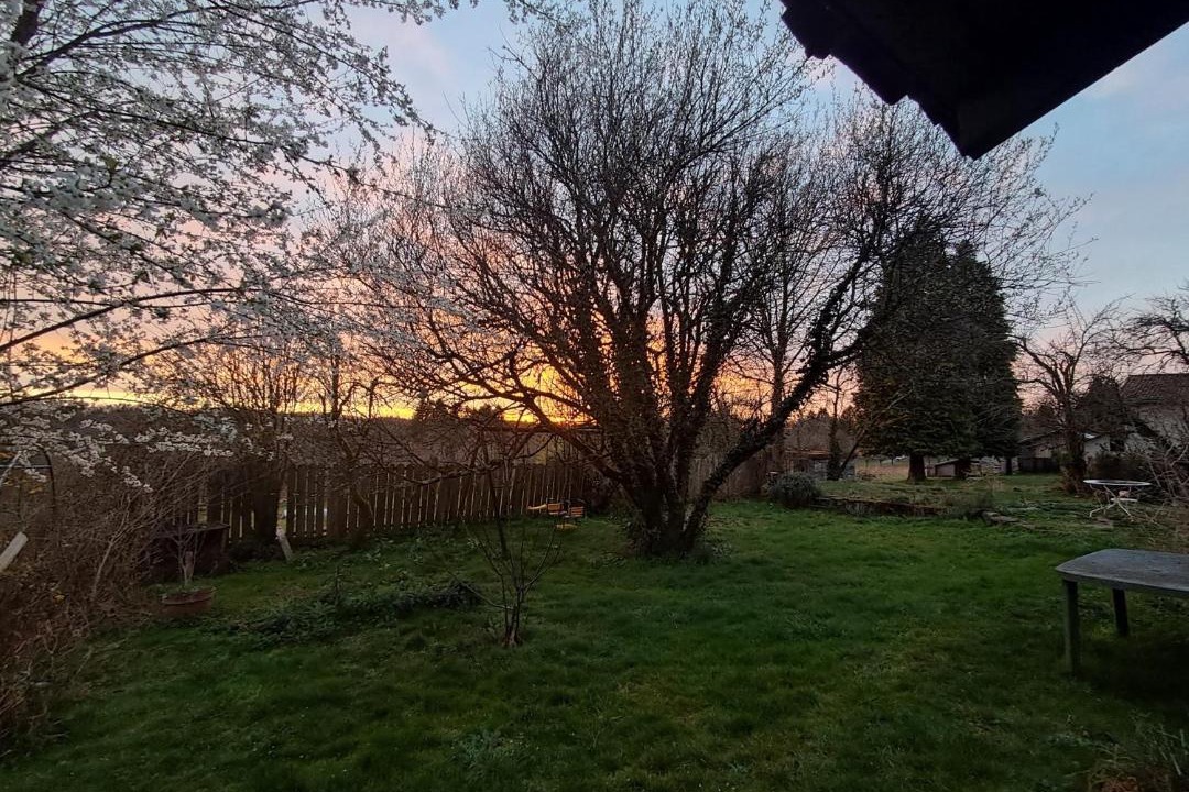 Photo of Others in Saint-Mathieu