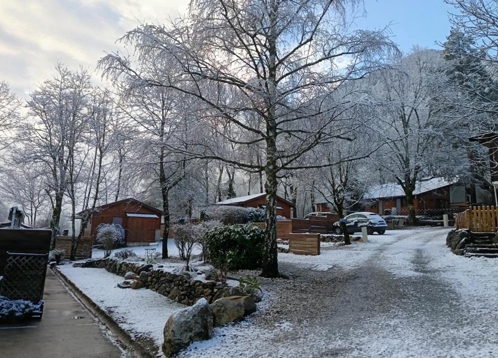 Photo of Others in Arlos