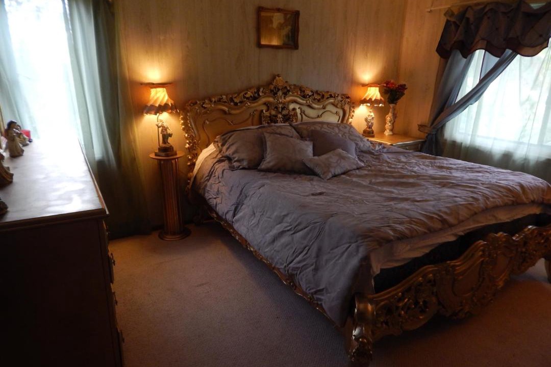 Photo of Others in Fern Forest