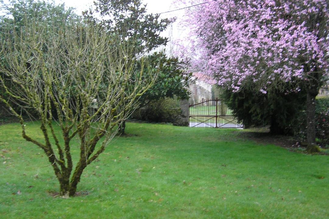 Photo of Outdoor in Mazieres-en-Gatine