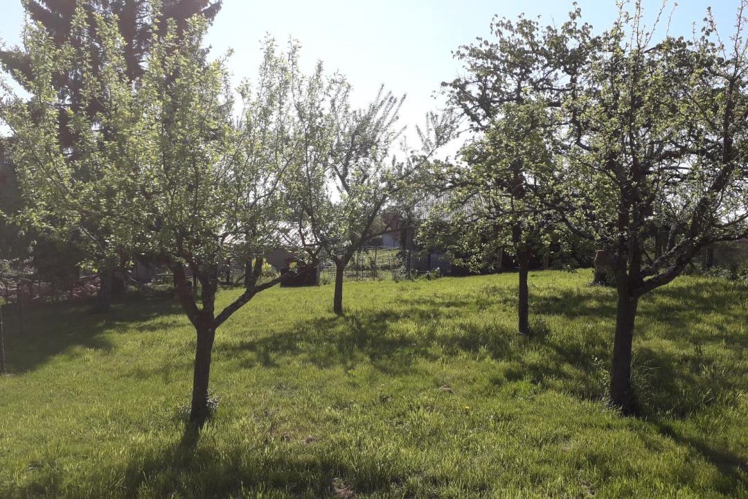 Photo of Outdoor in Steinseltz