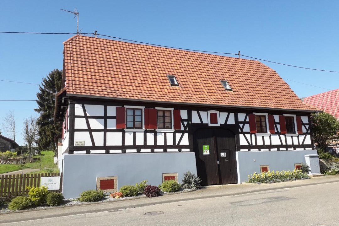 Photo of Others in Steinseltz