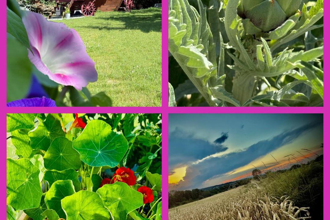 Photo of Others in Vandoncourt