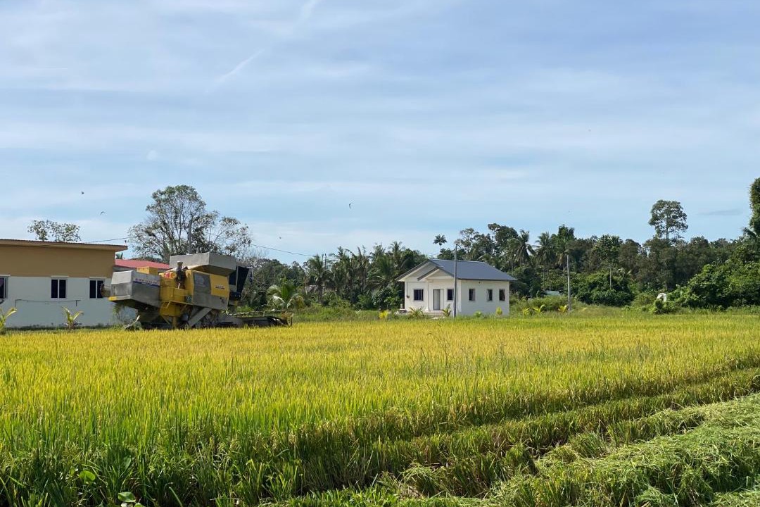 Photo of Others in Tumpat