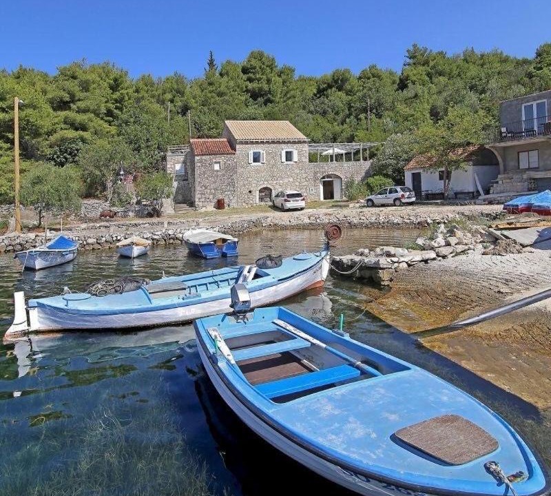 Photo of Others in Banici
