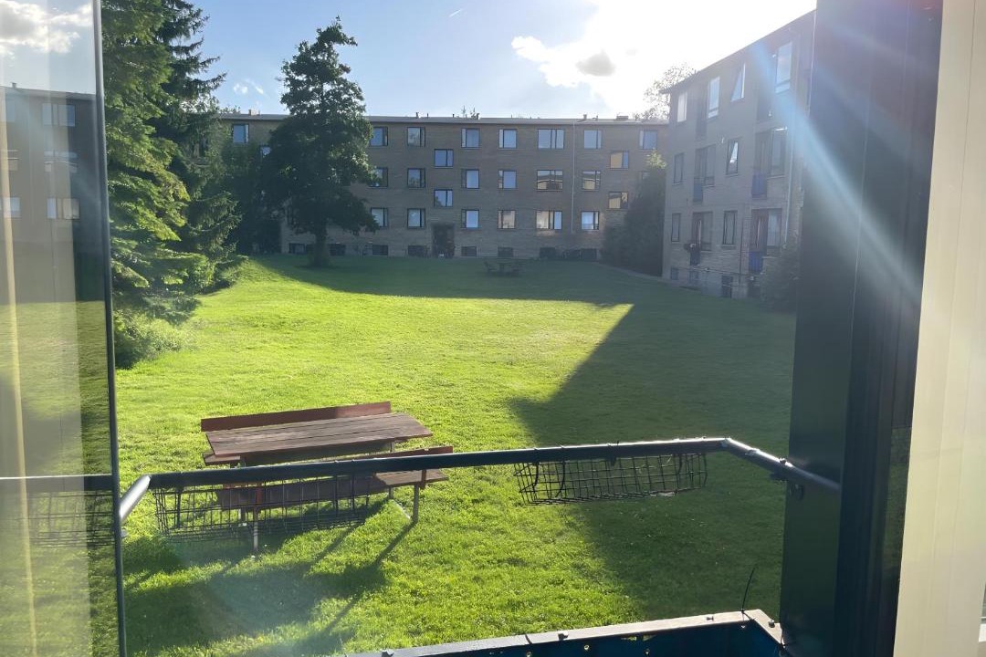 Photo of Others in Vigerslev