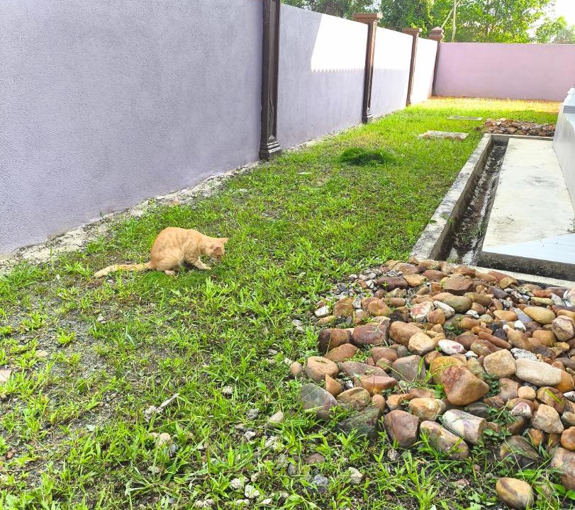 Photo of Others in Kampong Raja