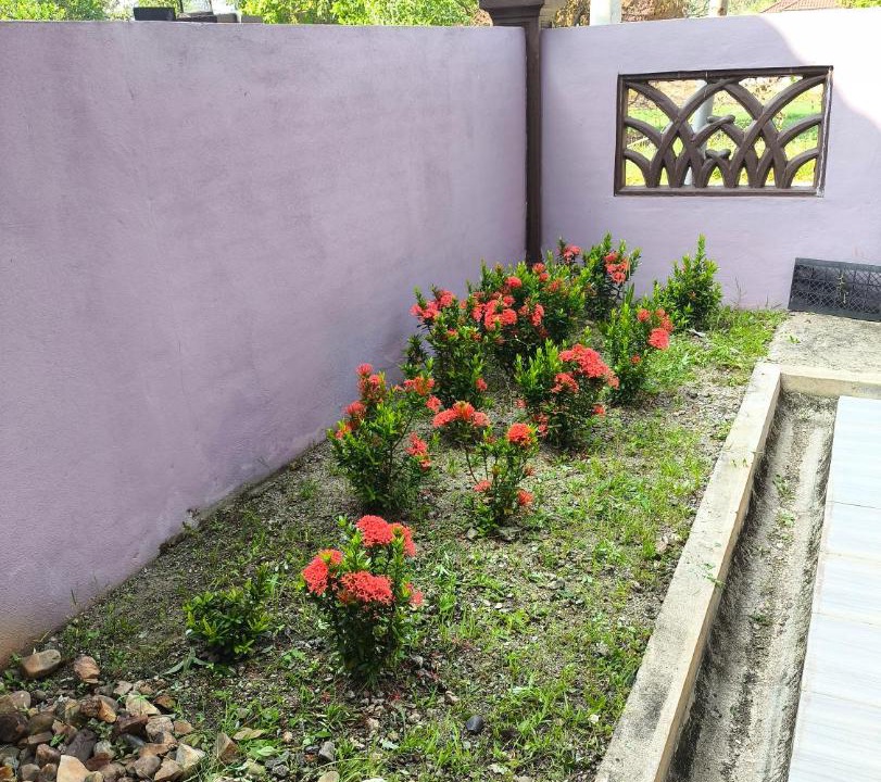 Photo of Others in Kampong Raja