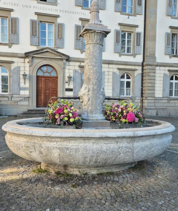 Photo of Others in Rapperswil