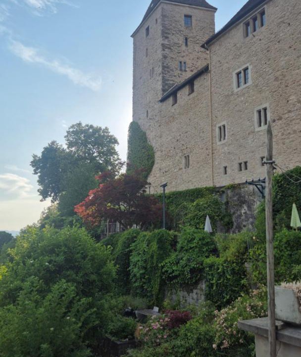 Photo of Others in Rapperswil