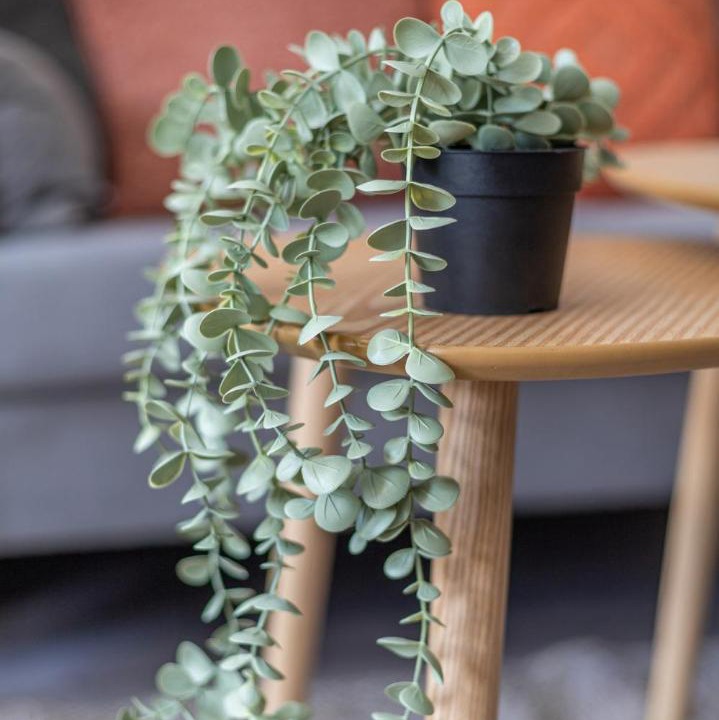 Photo of Others in Knutange