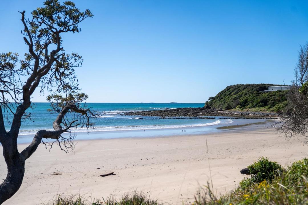 Photo of Others in Arrawarra Headland