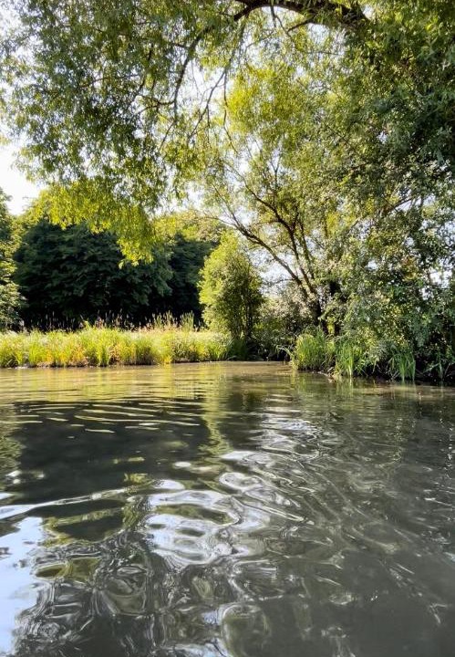 Photo of Others in Moncheux