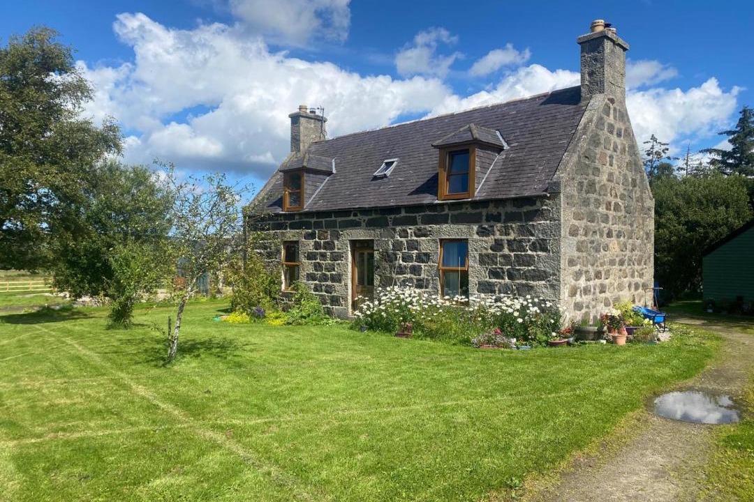 Photo of Others in Huntly