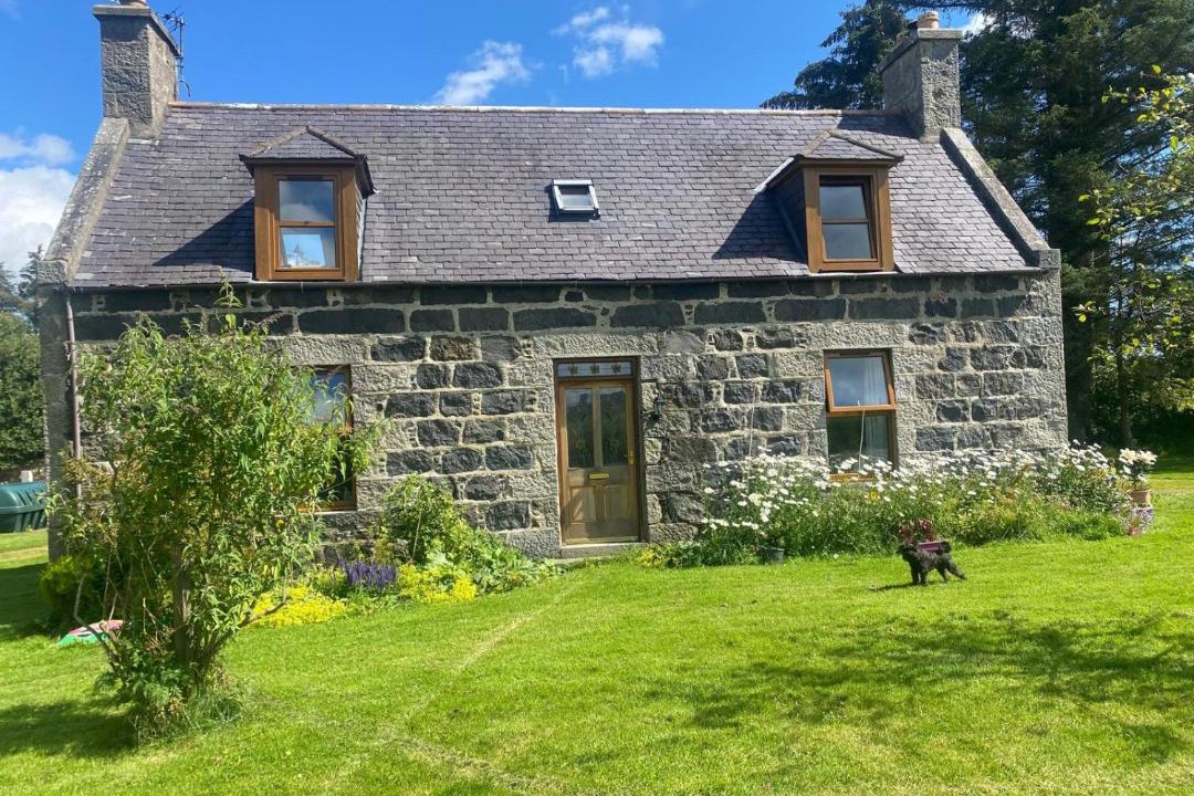 Photo of Others in Huntly