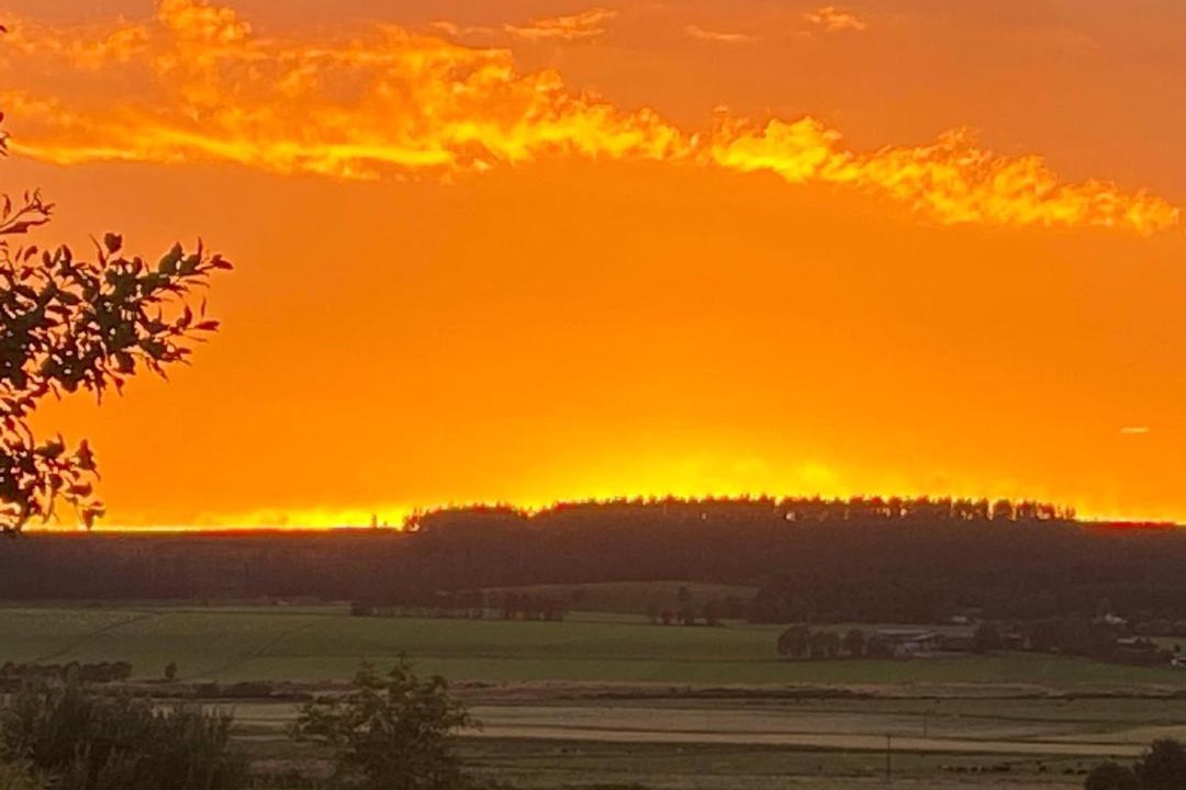 Photo of Others in Huntly