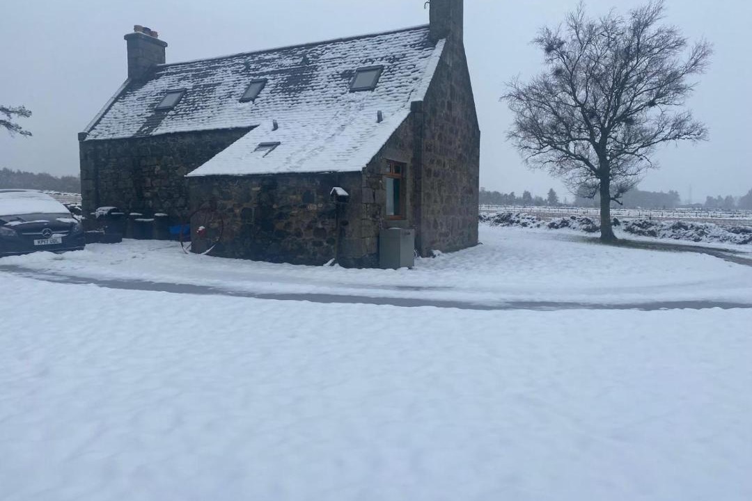 Photo of Others in Huntly