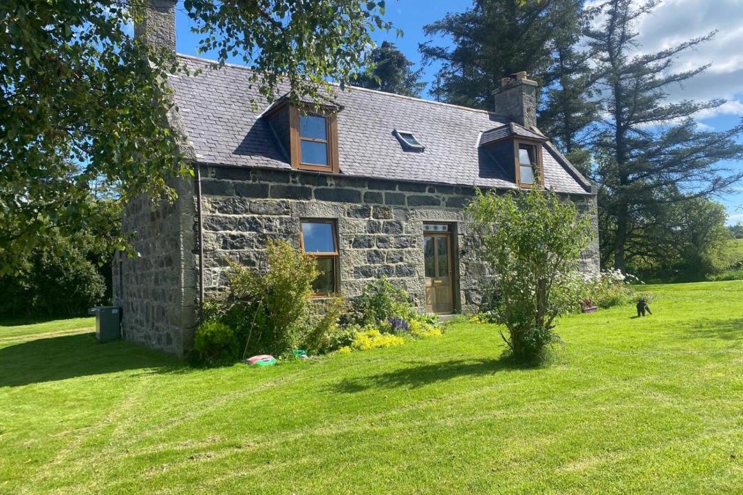 Photo of Others in Huntly