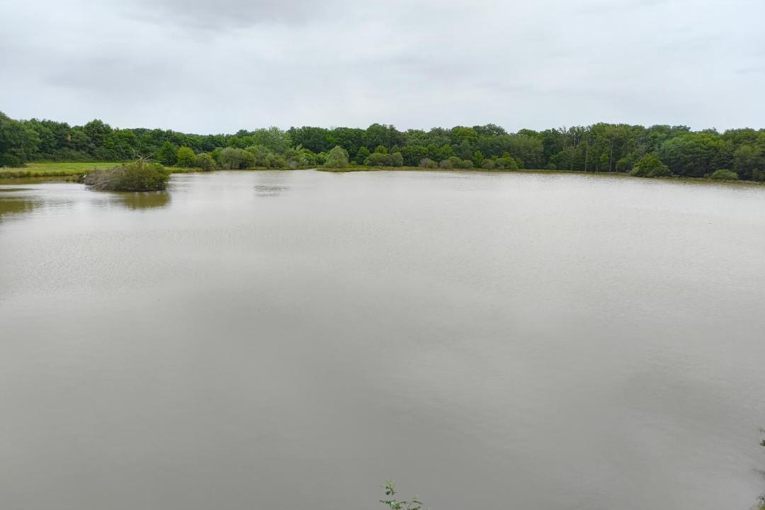 Photo of Others in Breteau