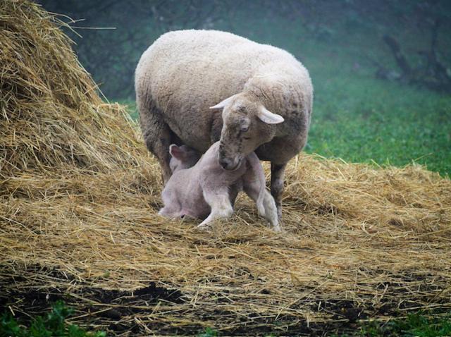 Photo of Others in Saint Maurin