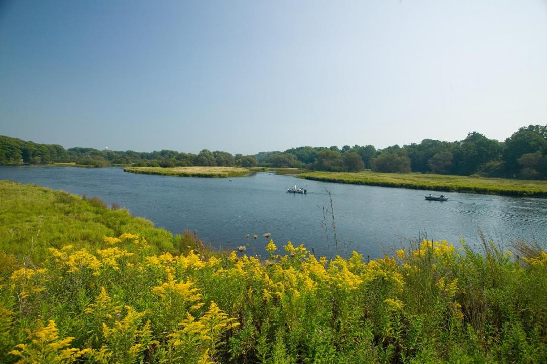 Photo of Outdoor in Pulaski