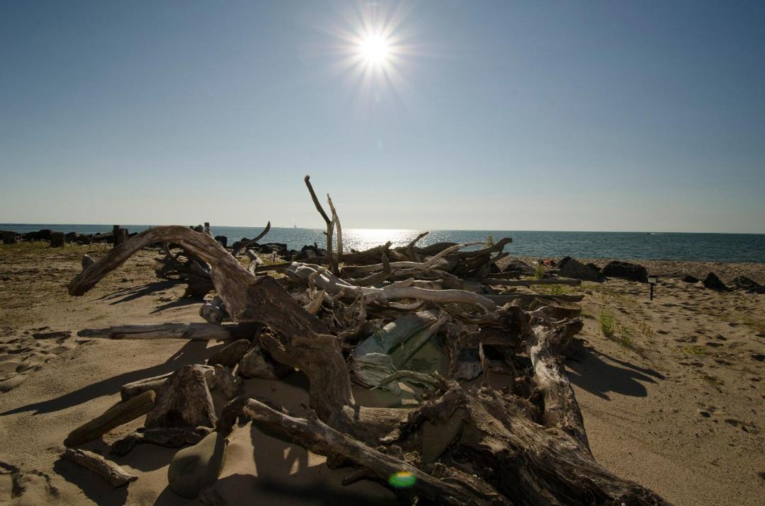 Photo of Others in Pulaski