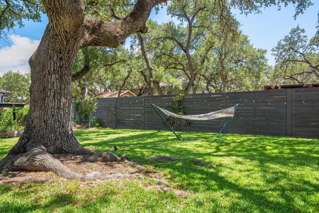 Photo of Outdoor in South Lamar
