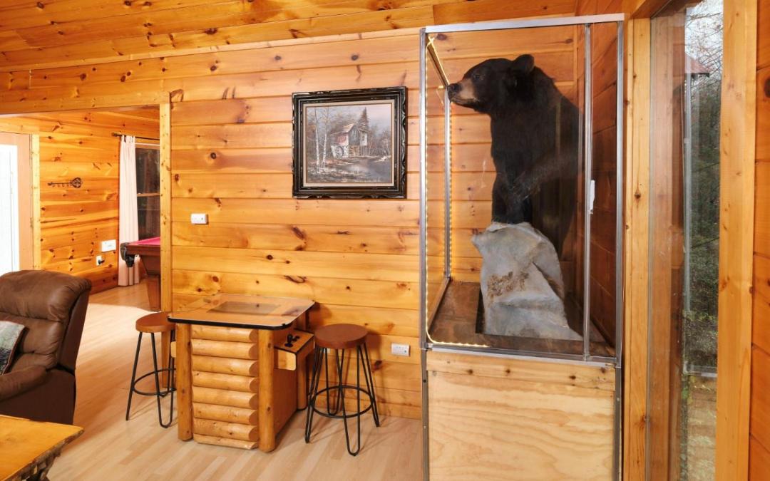 Photo of Others in Gatlinburg