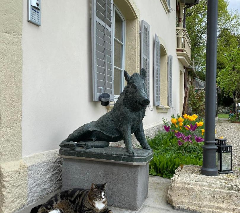 Photo of Others in Porrentruy